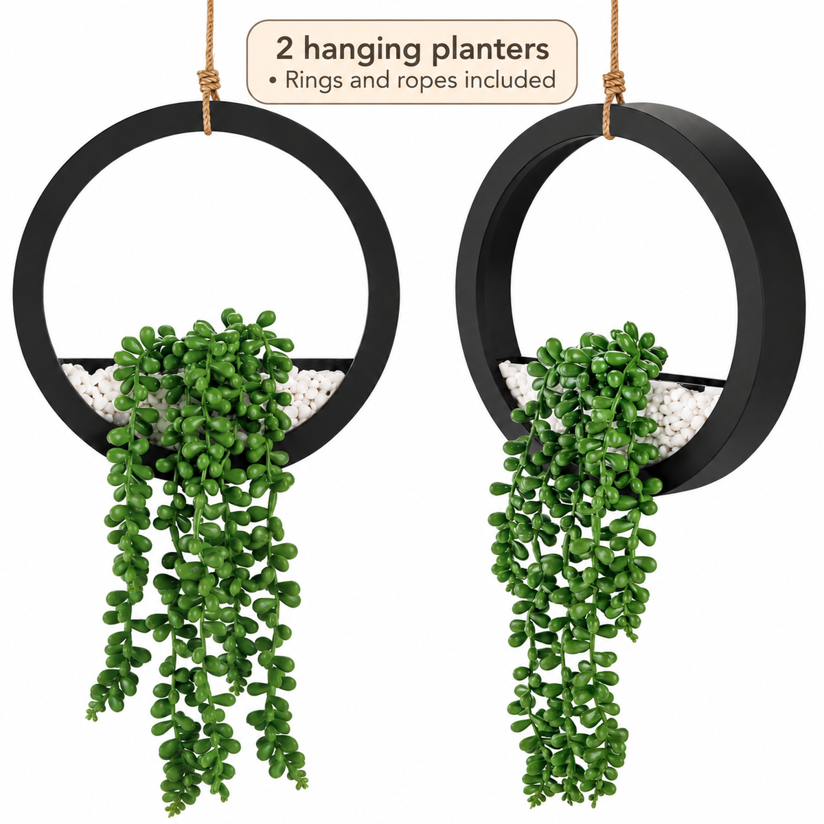 Two faux string-of-pearls plants in black hanging ring planters - product detail and inclusion view 10