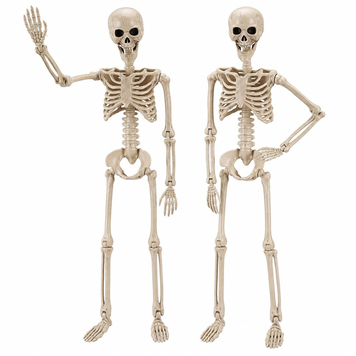 40-Inch Posable Halloween Skeletons, Set of 2 | Satinova — detail view 10