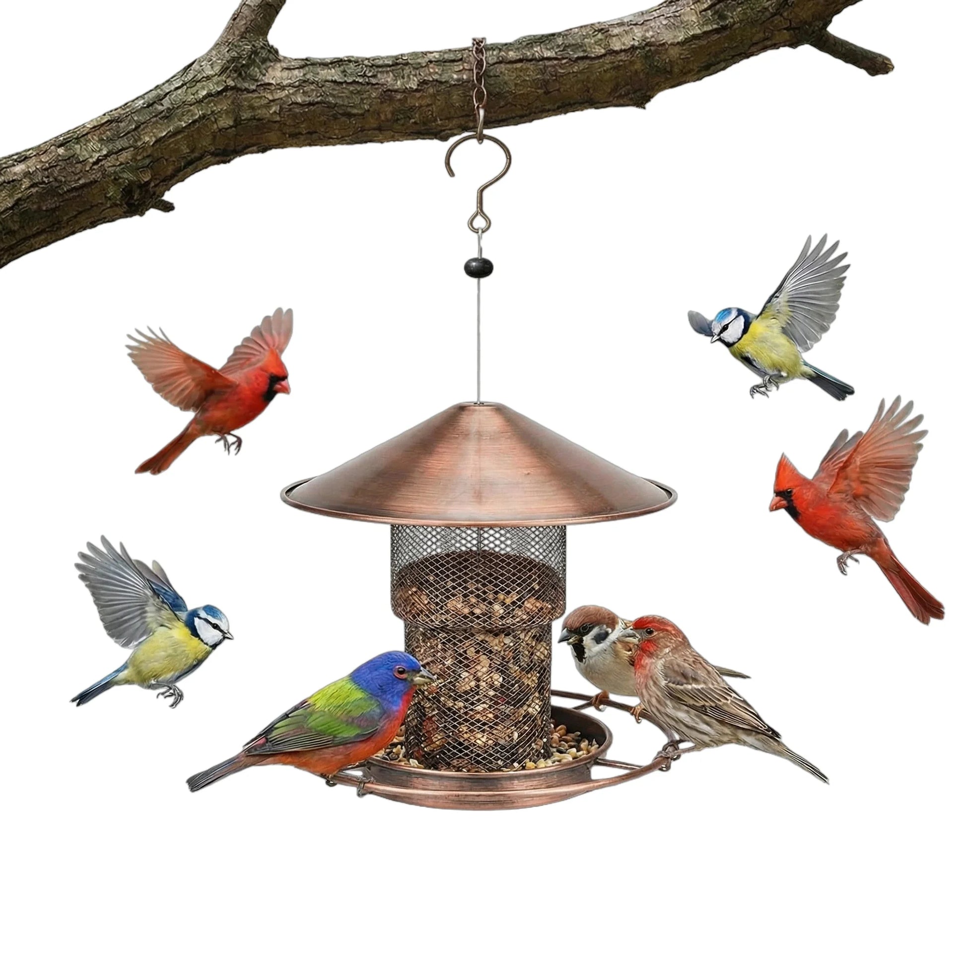 Large-Capacity Hanging Bird Feeder
