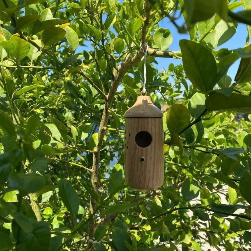 Mini Pine Birdhouses, 5 Styles - alternate view 2
