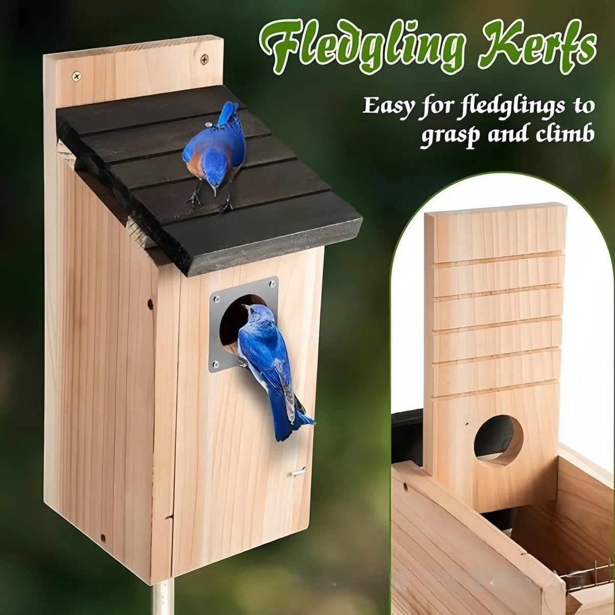 Cedar Outdoor Birdhouse Kit - alternate view 6