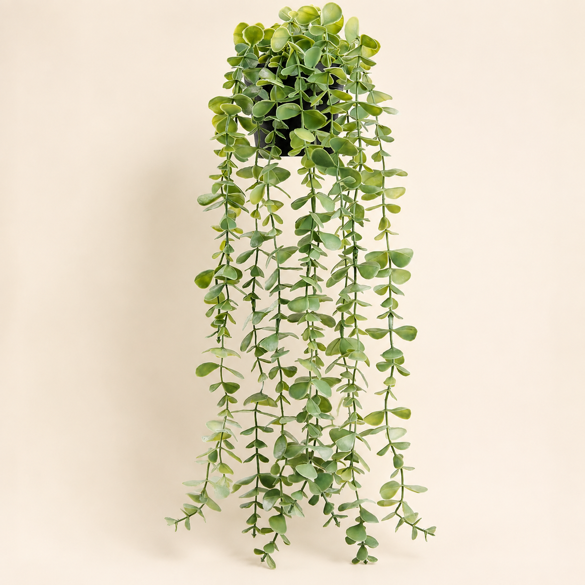 Faux Hanging Eucalyptus Plant in Black Pot, 24 Inch Gray Green Trailing Shelf Decor — styled view 1
