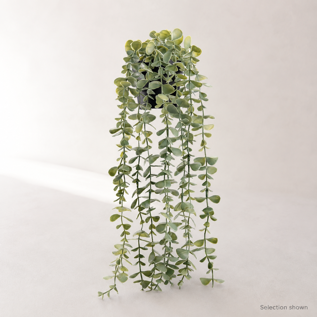 Faux Hanging Eucalyptus Plant in Black Pot, 24 Inch Gray Green Trailing Shelf Decor — styled view 9