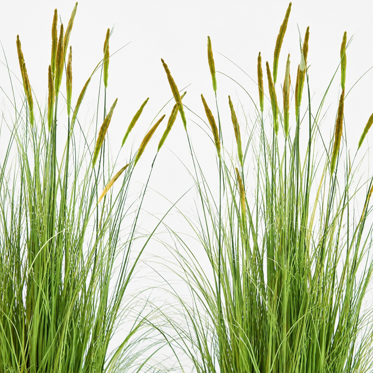 Set of 2 Faux Cattail Reed Grass Plants, 4 Foot Greenery in Black Pots for Indoor Decor — styled product view 3