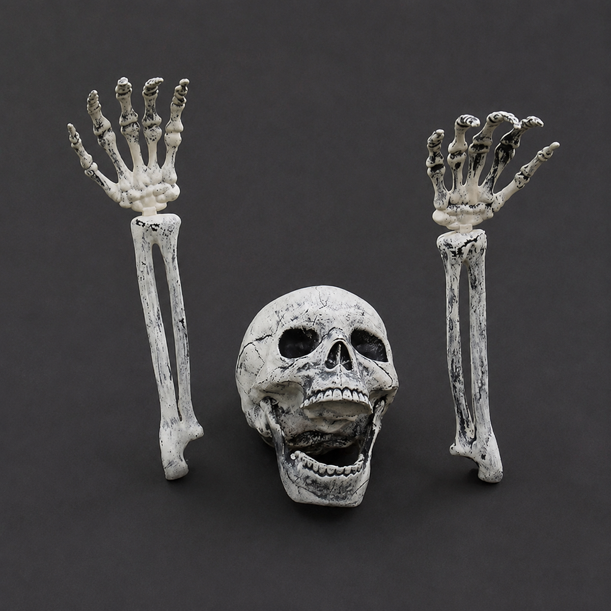 Skeleton Skull and Two Arm Stakes, Weathered Gray Halloween Groundbreaker Yard Decoration, product view 3