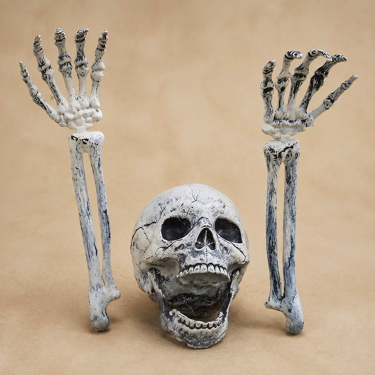 Skeleton Skull and Two Arm Stakes, Weathered Gray Halloween Groundbreaker Yard Decoration, product view 4