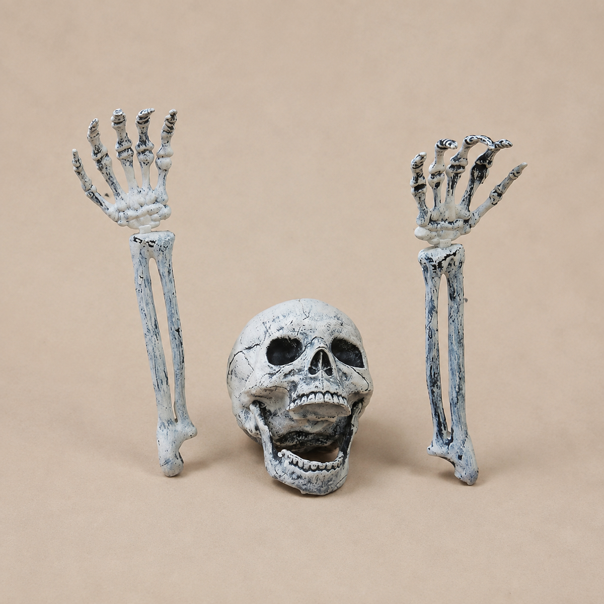 Skeleton Skull and Two Arm Stakes, Weathered Gray Halloween Groundbreaker Yard Decoration, product view 6