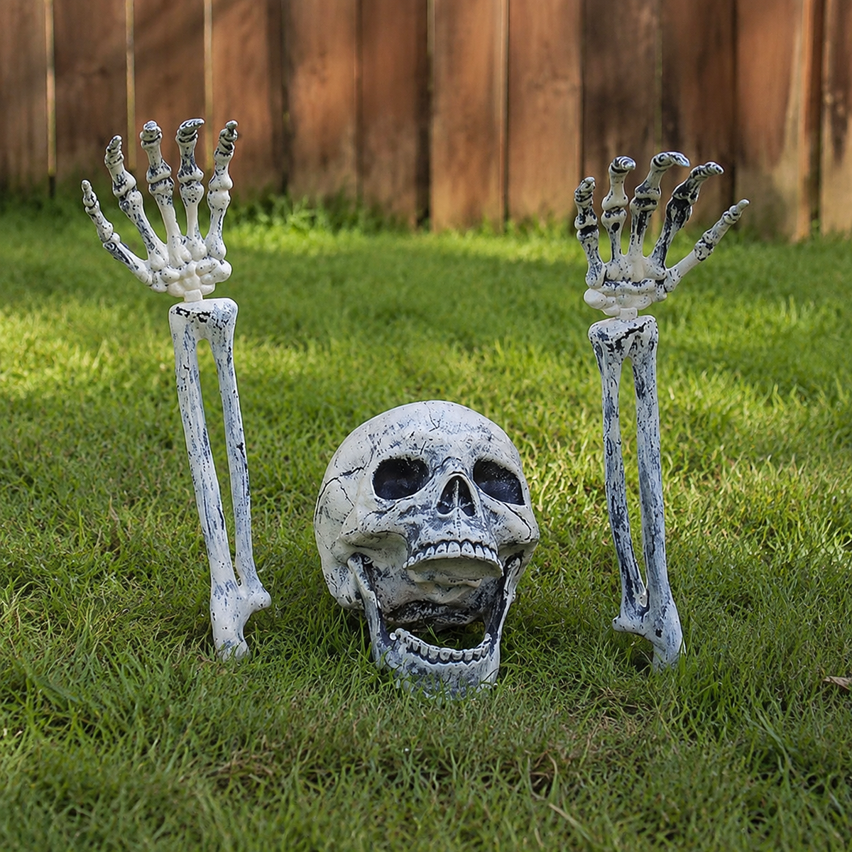 Skeleton Skull and Two Arm Stakes, Weathered Gray Halloween Groundbreaker Yard Decoration, product view 7