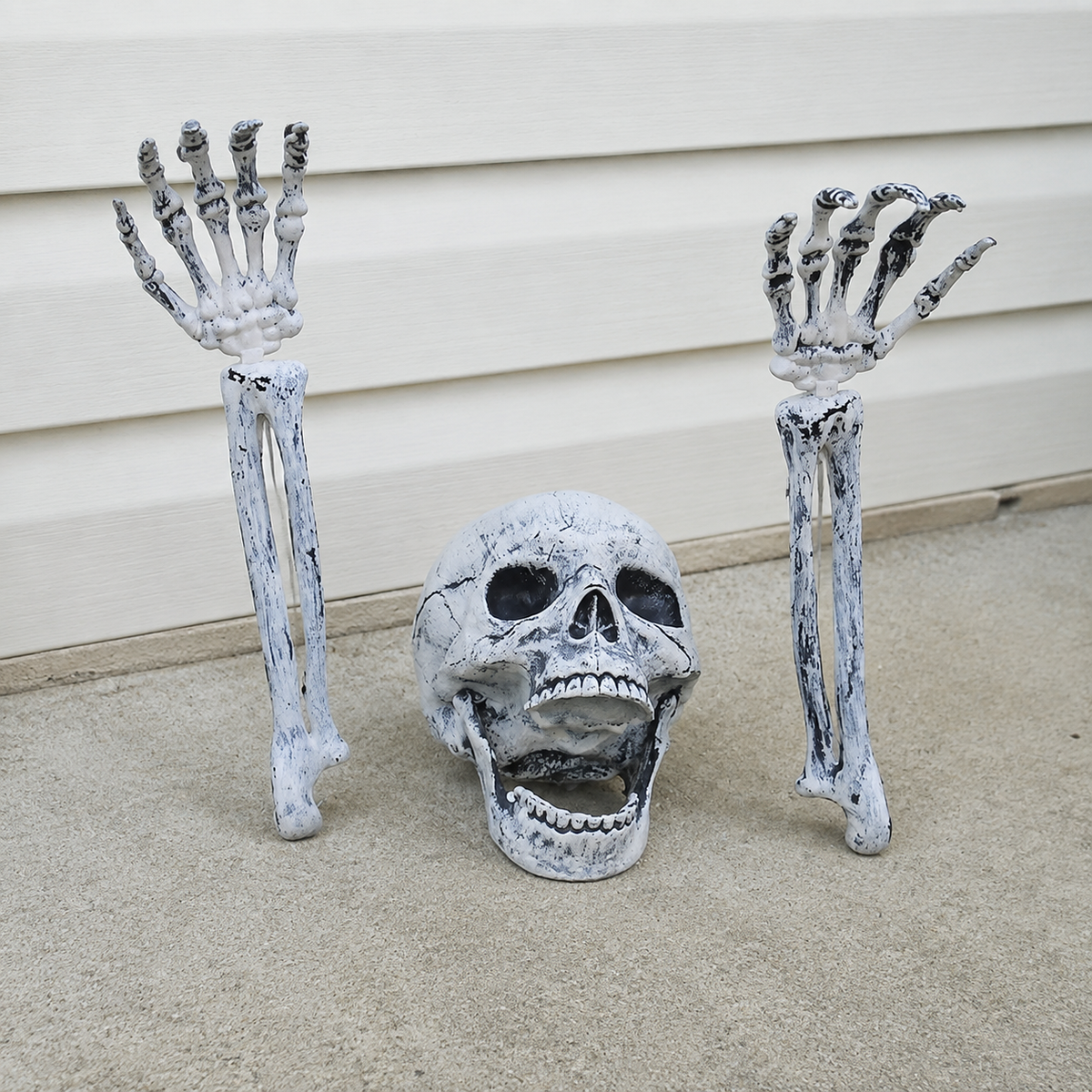 Skeleton Skull and Two Arm Stakes, Weathered Gray Halloween Groundbreaker Yard Decoration, product view 8