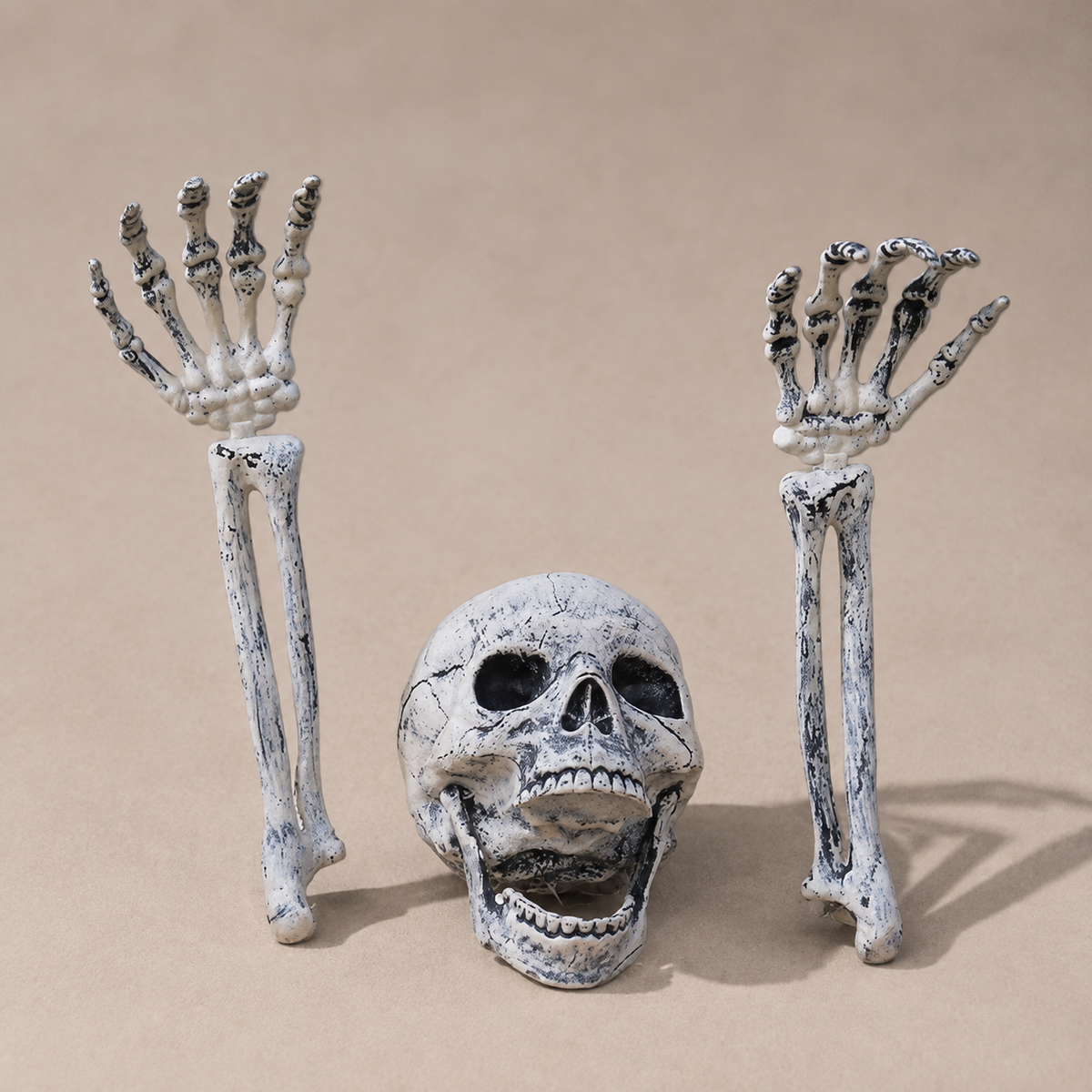 Skeleton Skull and Two Arm Stakes, Weathered Gray Halloween Groundbreaker Yard Decoration, product view 9