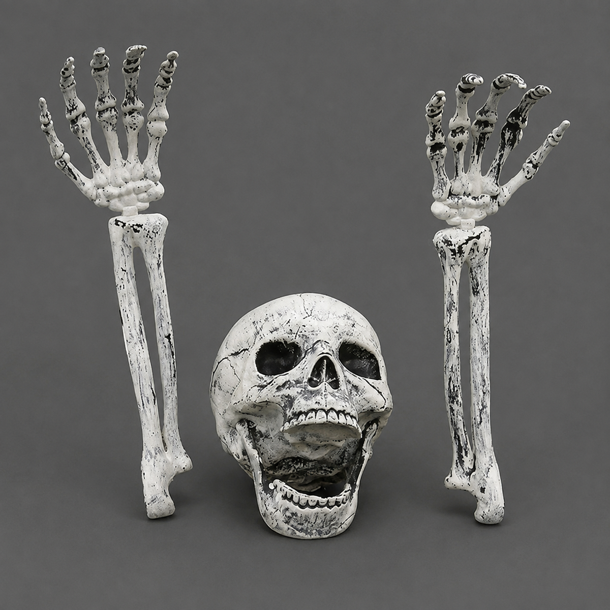 Skeleton Skull and Two Arm Stakes, Weathered Gray Halloween Groundbreaker Yard Decoration, product view 10