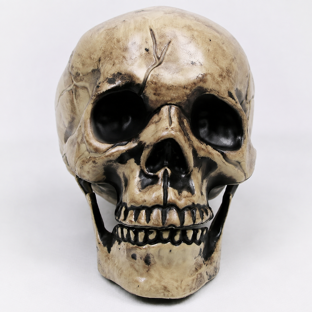 Beige Skeleton Skull and Two Arm Stakes, Halloween Groundbreaker Garden Decoration, product view 3