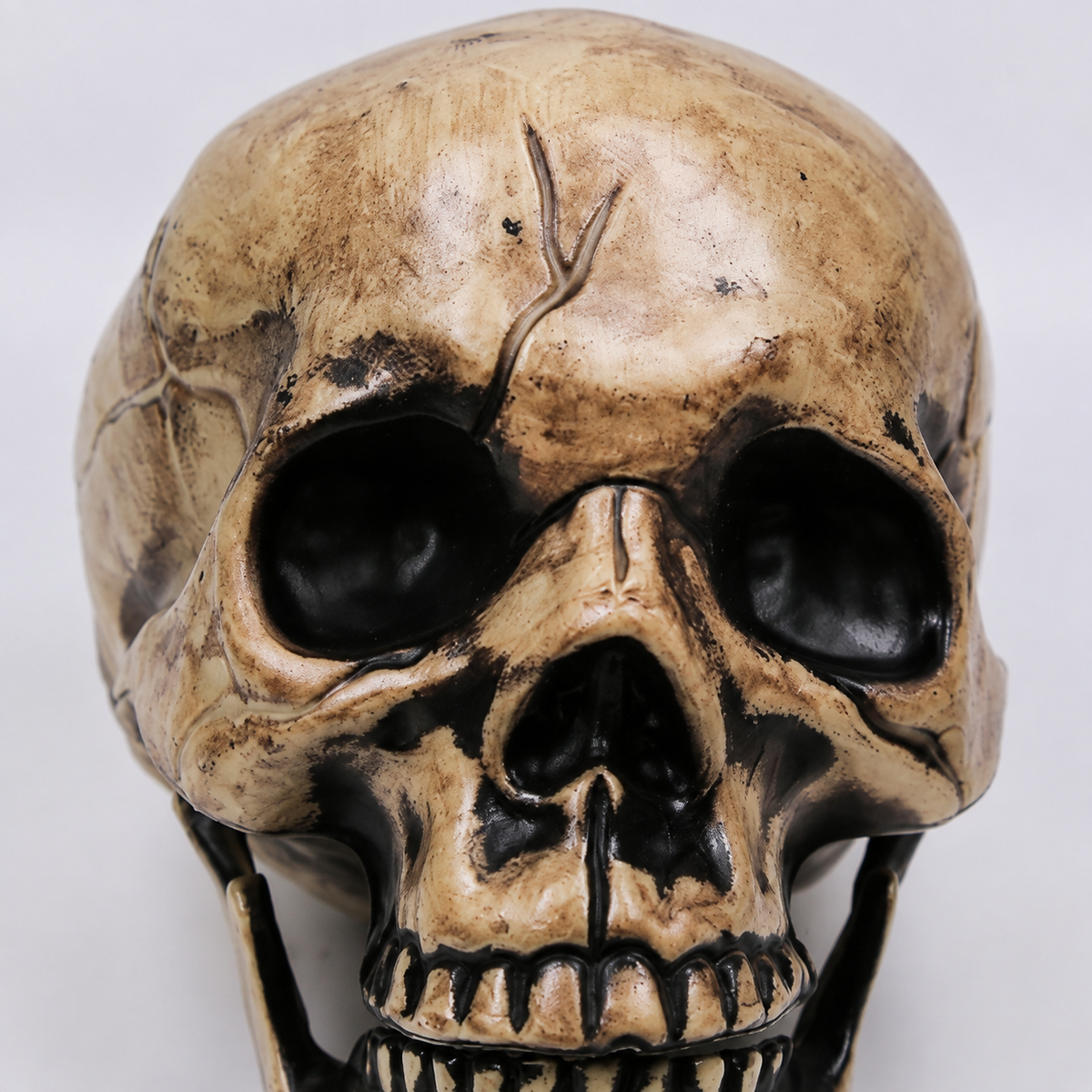 Beige Skeleton Skull and Two Arm Stakes, Halloween Groundbreaker Garden Decoration, product view 6