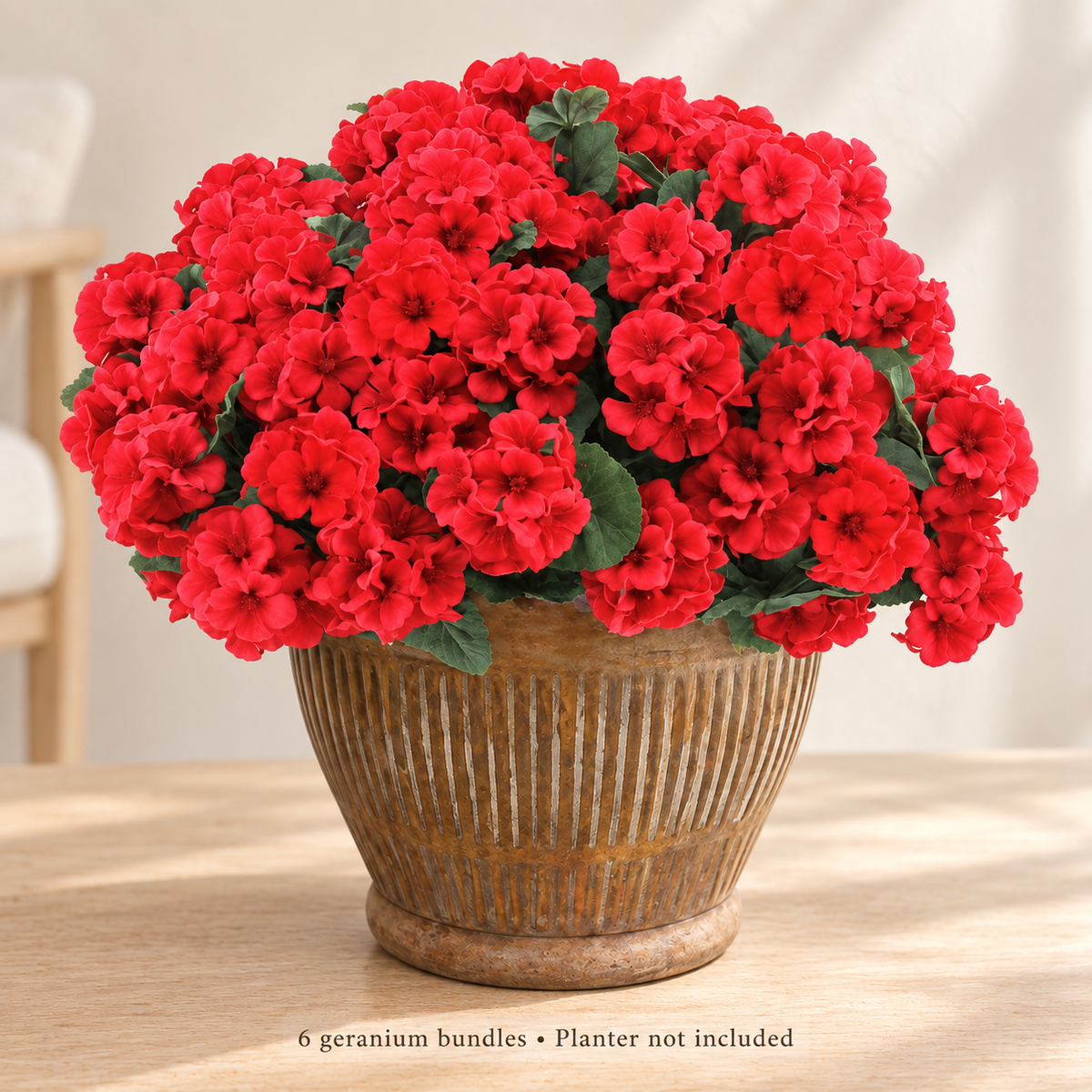 Six red geranium bundles — minimal room