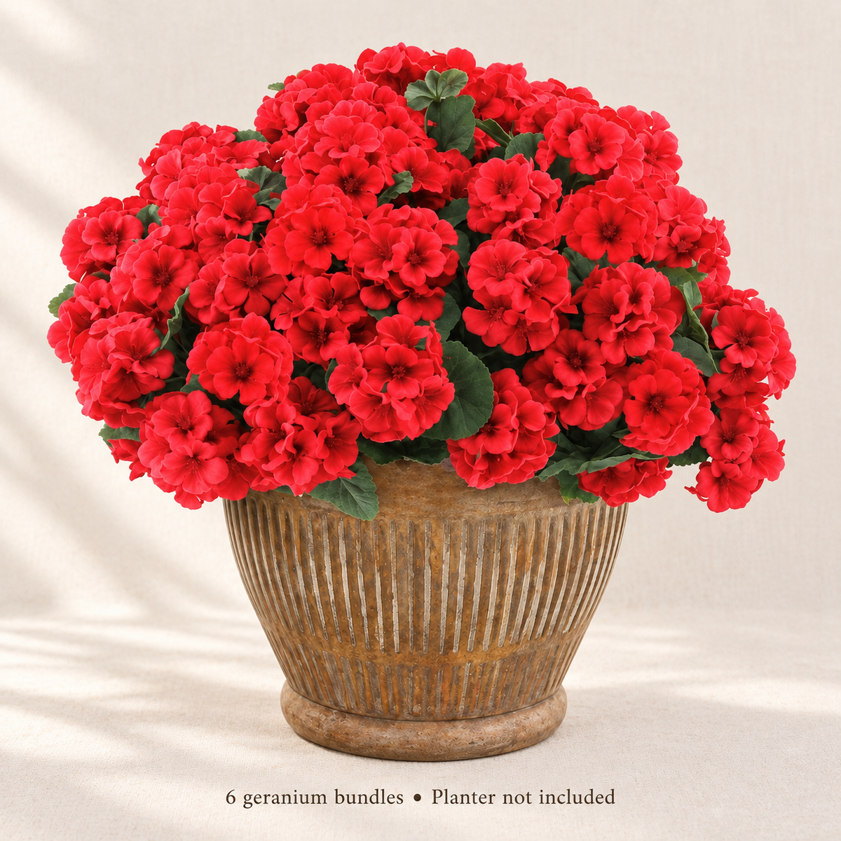 Six red geranium bundles — airy portrait