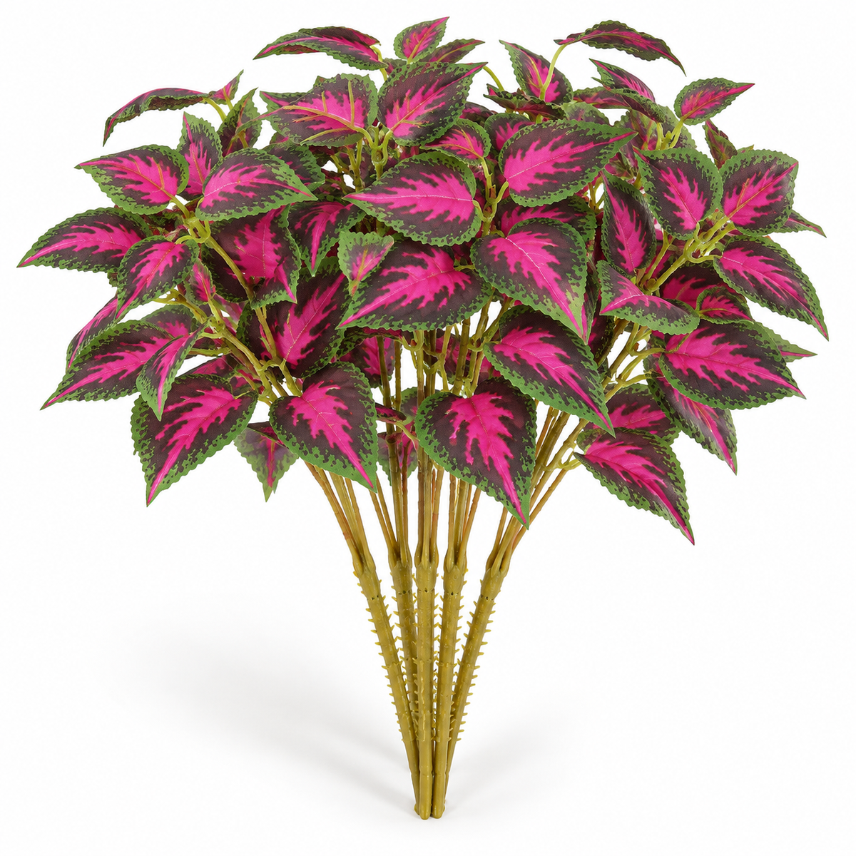 Artificial red-green coleus stems — main