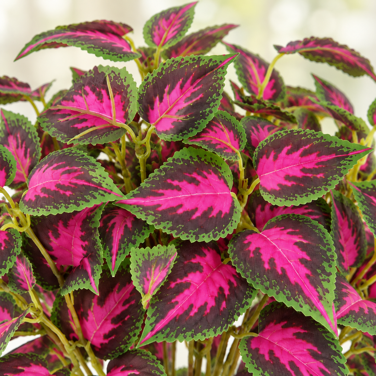 Artificial red-green coleus stems — bloom detail
