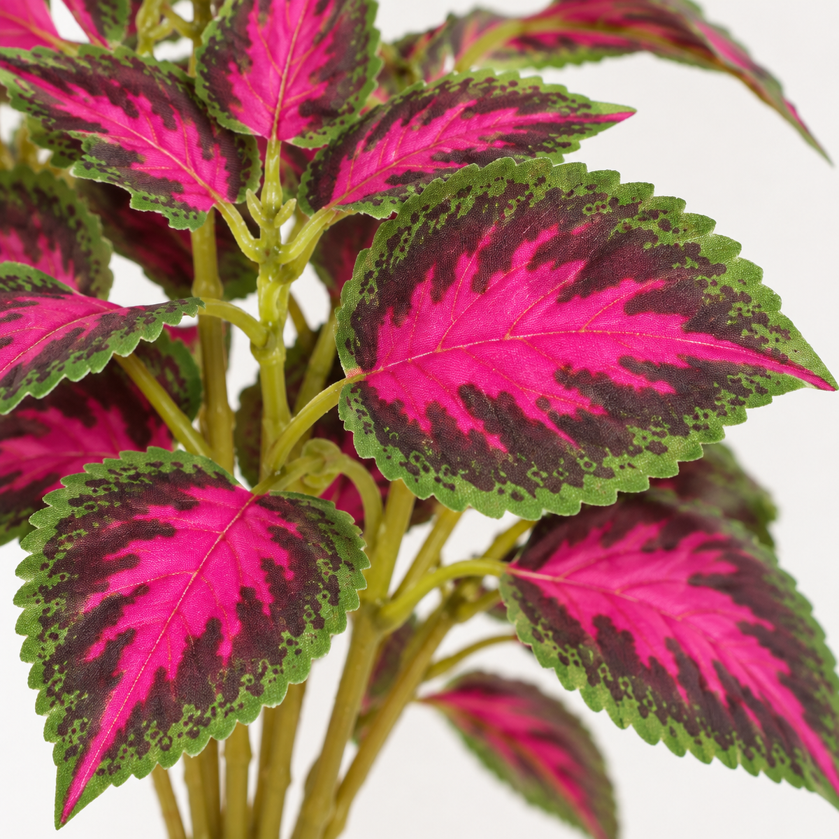 Artificial red-green coleus stems — leaf detail