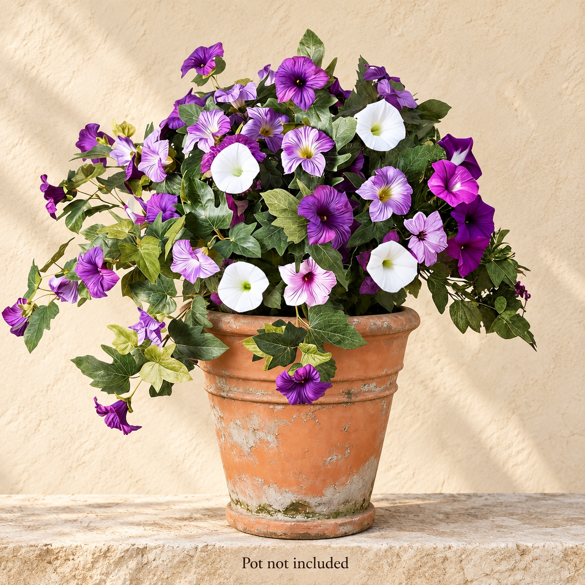 Two purple-white petunia bundles — main