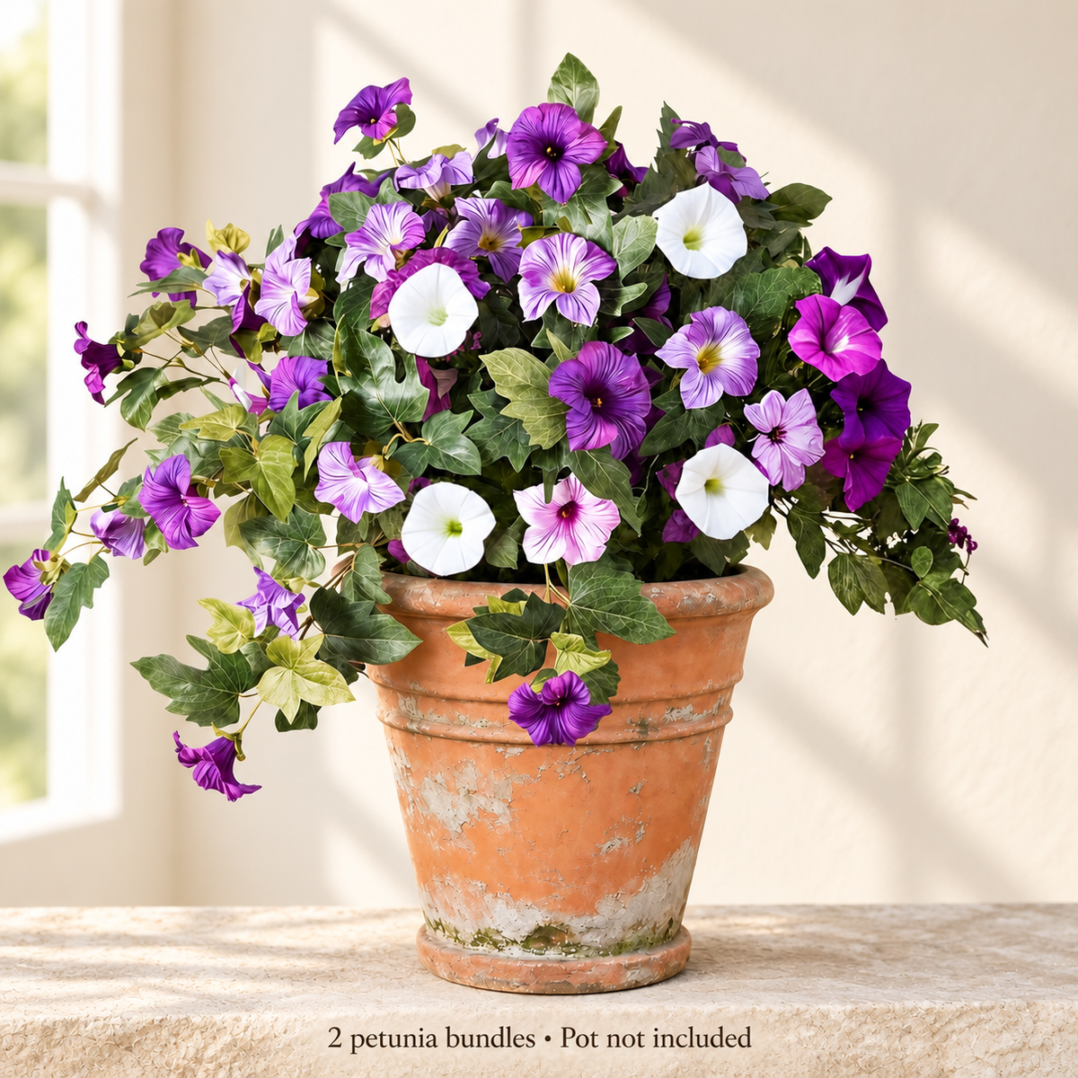 Two purple-white petunia bundles — window light