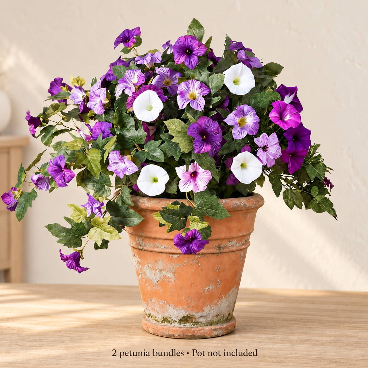 Two purple-white petunia bundles — minimal room