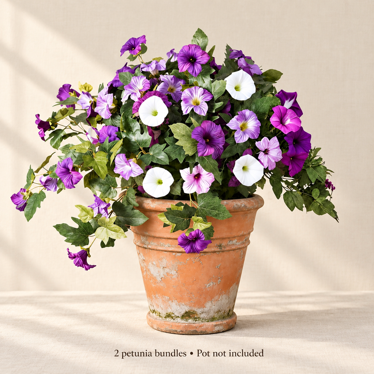 Two purple-white petunia bundles — airy portrait
