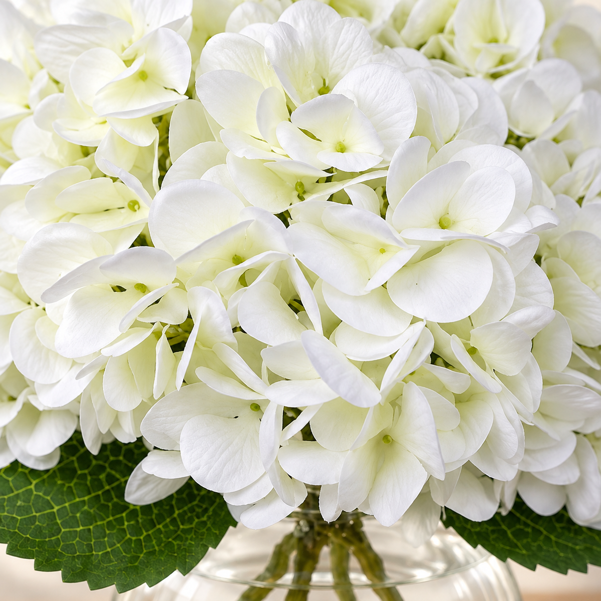 White hydrangea arrangement in glass vase with faux water — color detail