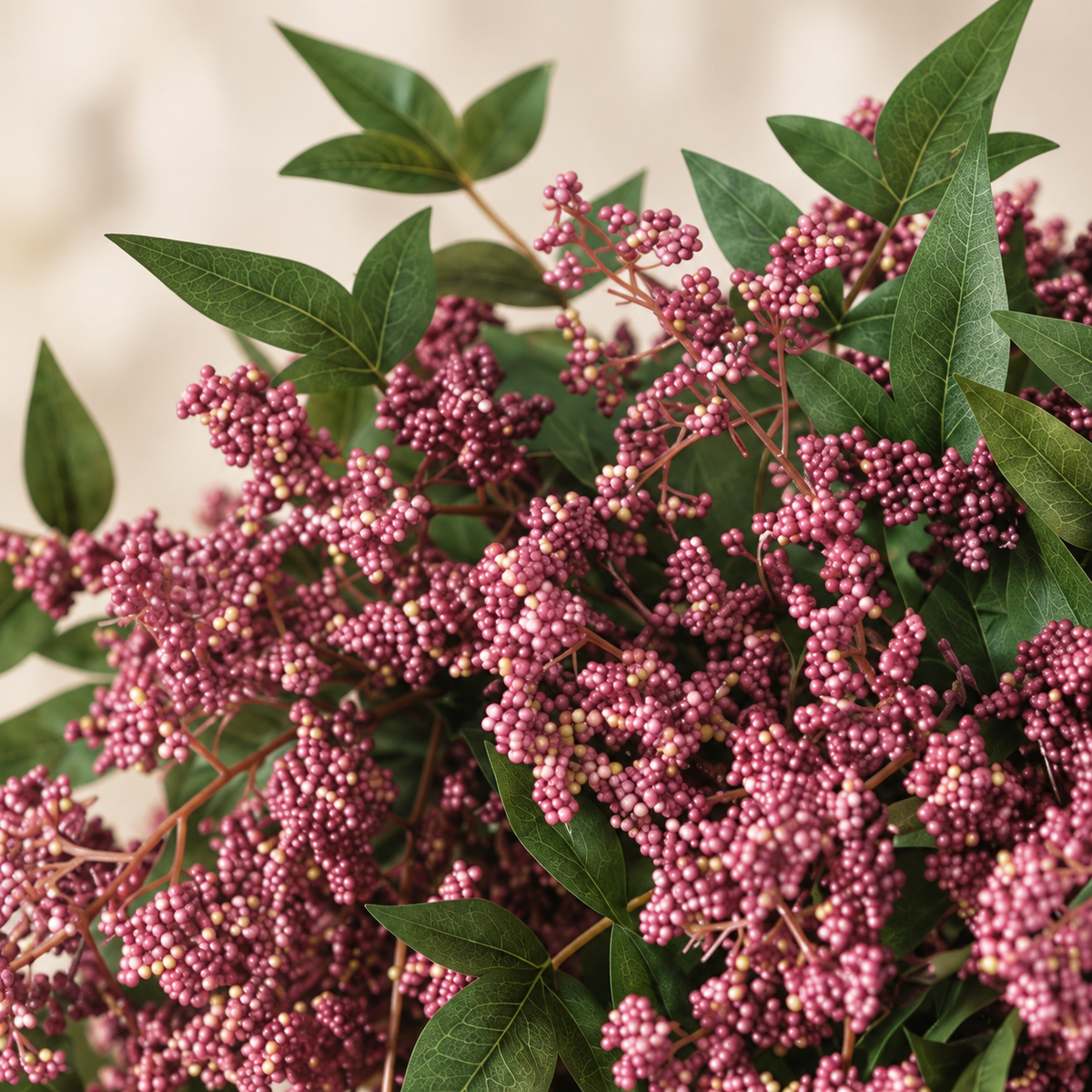 Six dusty-plum nandina berry stems — bloom detail