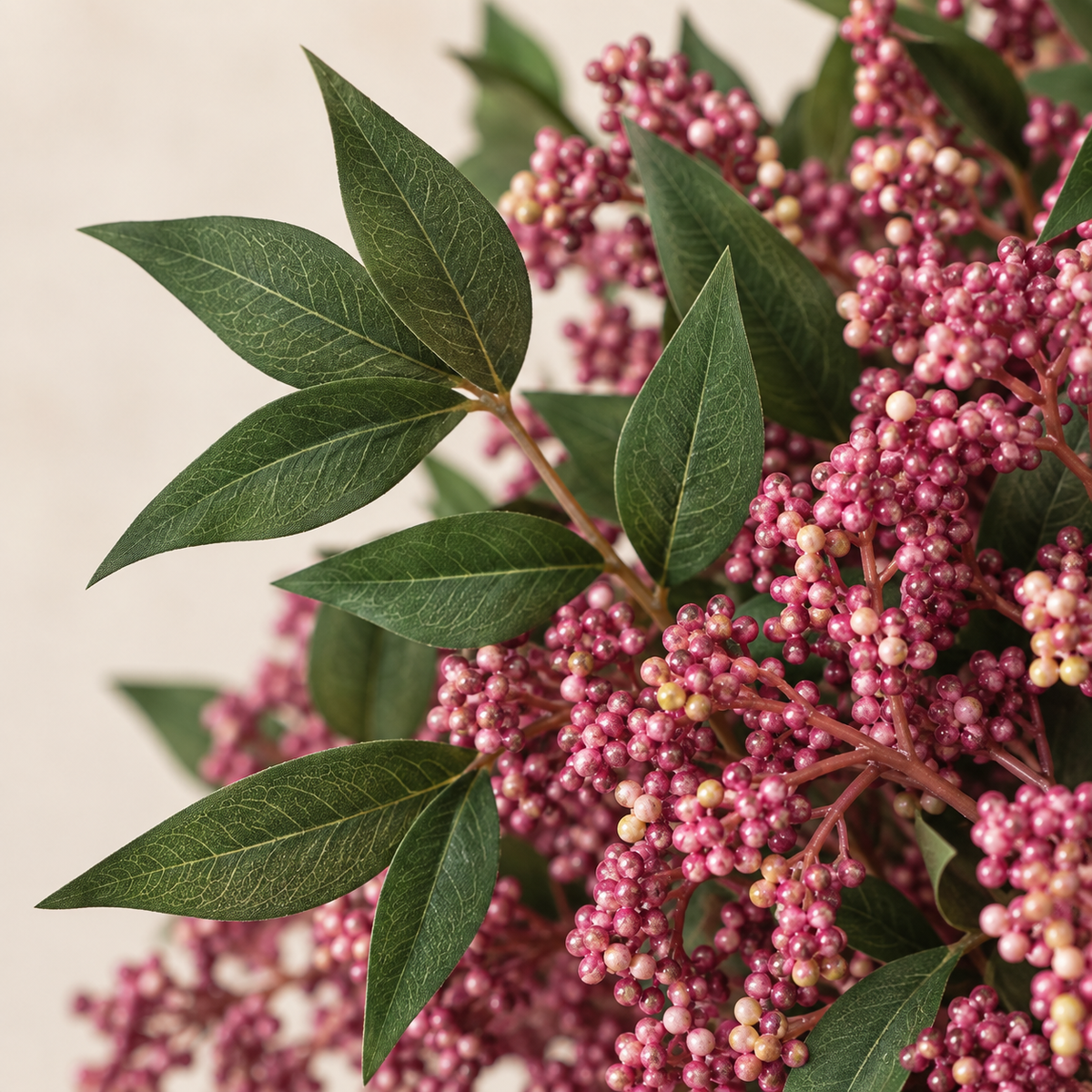 Six dusty-plum nandina berry stems — leaf detail