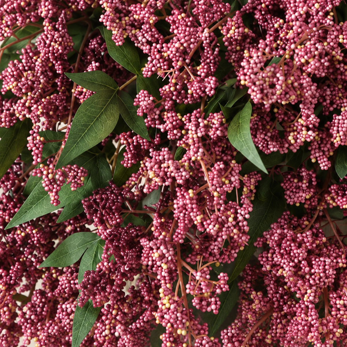 Six dusty-plum nandina berry stems — lower detail