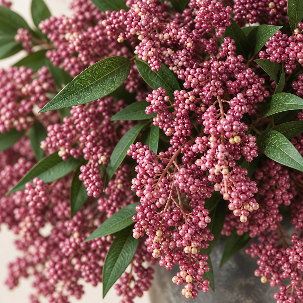 Six dusty-plum nandina berry stems — color detail