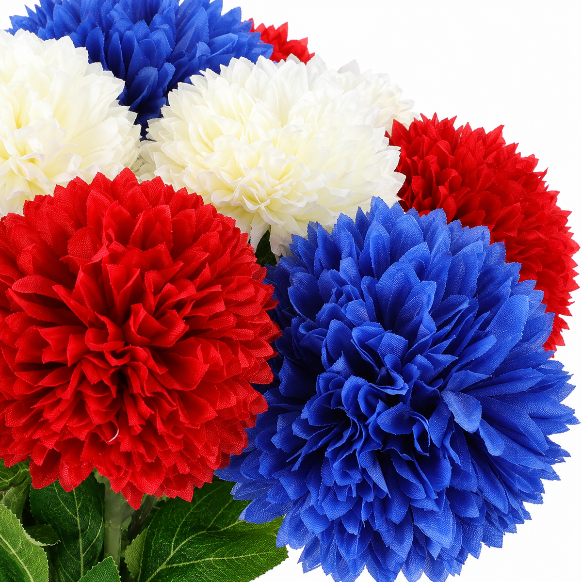 12 red, white and blue chrysanthemum stems, no vase - product detail and inclusion view 08