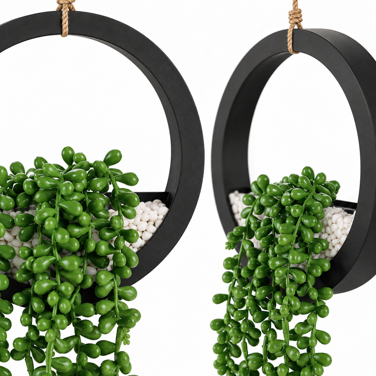 Two faux string-of-pearls plants in black hanging ring planters - product detail and inclusion view 02