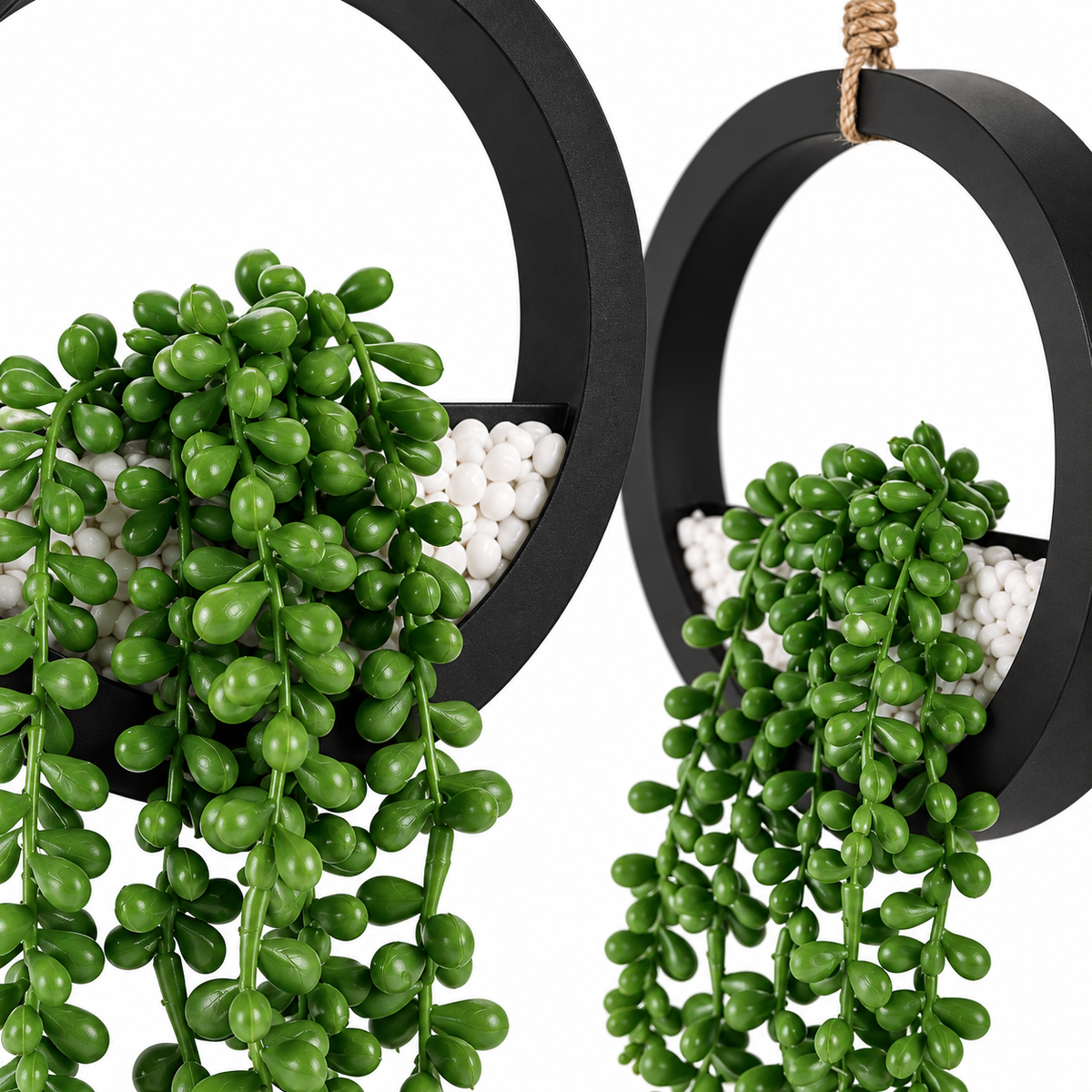 Two faux string-of-pearls plants in black hanging ring planters - product detail and inclusion view 03