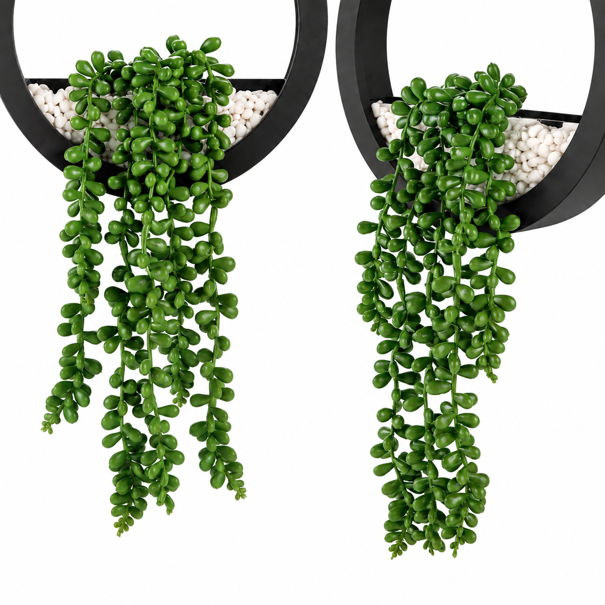 Two faux string-of-pearls plants in black hanging ring planters - product detail and inclusion view 04
