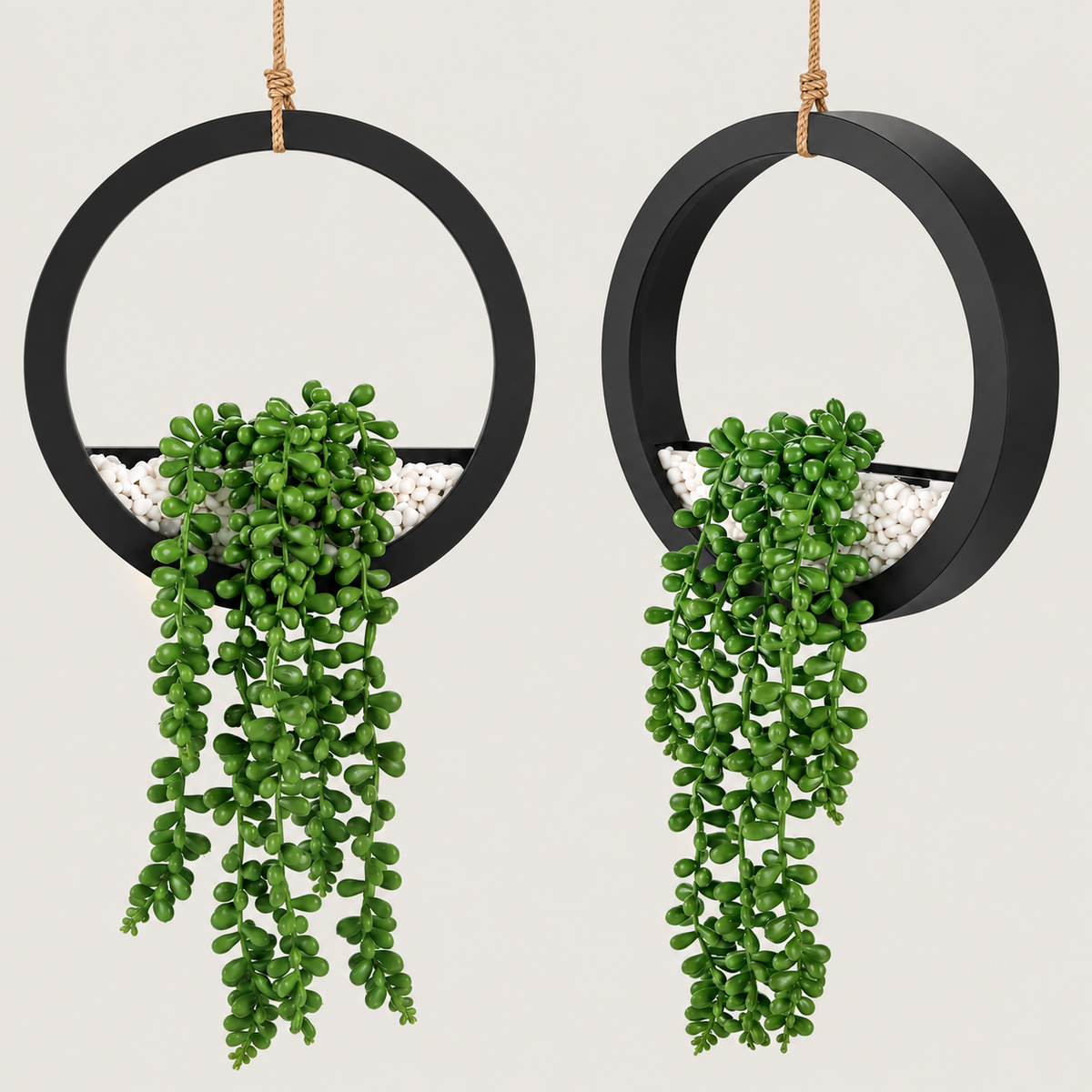 Two faux string-of-pearls plants in black hanging ring planters - product detail and inclusion view 05