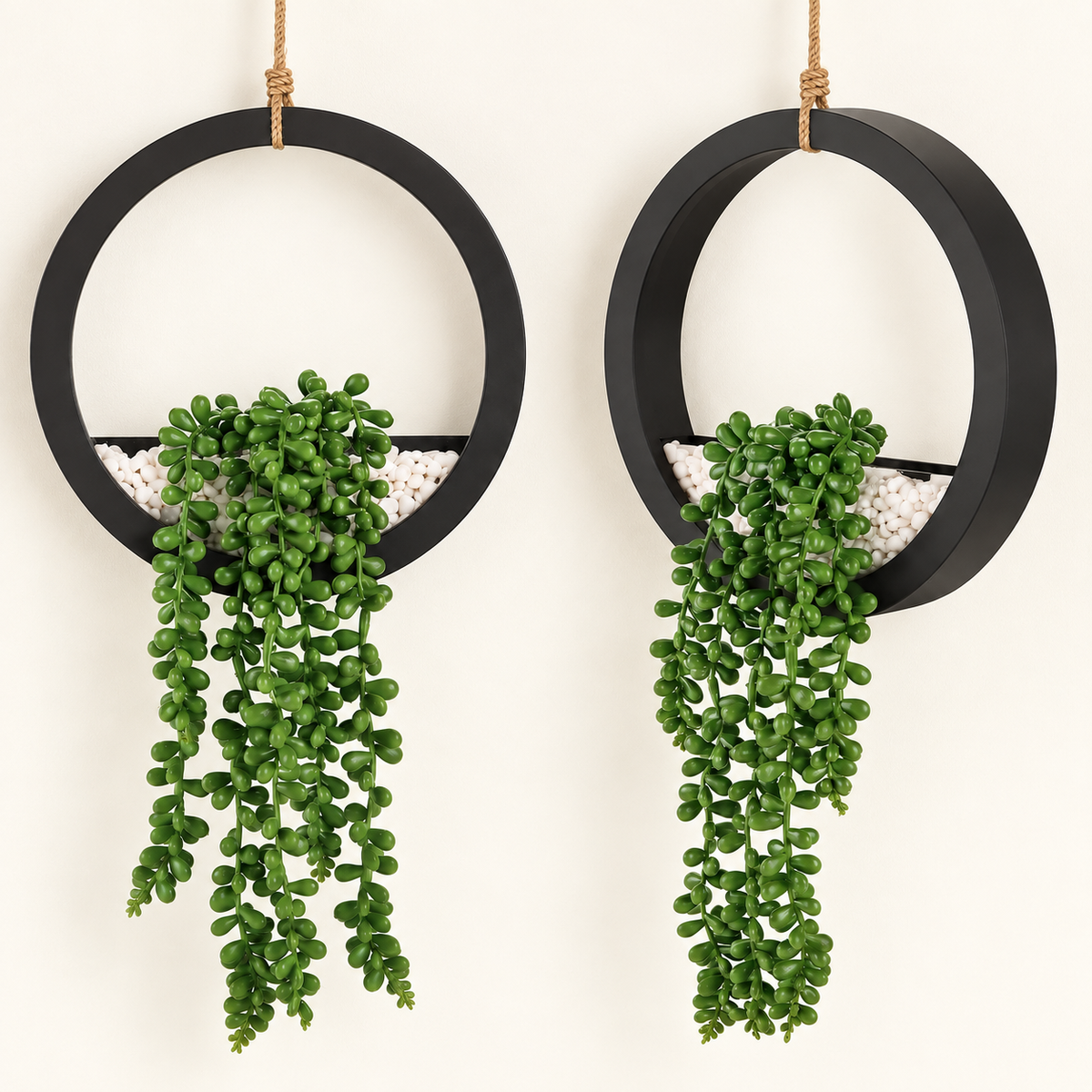 Two faux string-of-pearls plants in black hanging ring planters - product detail and inclusion view 06