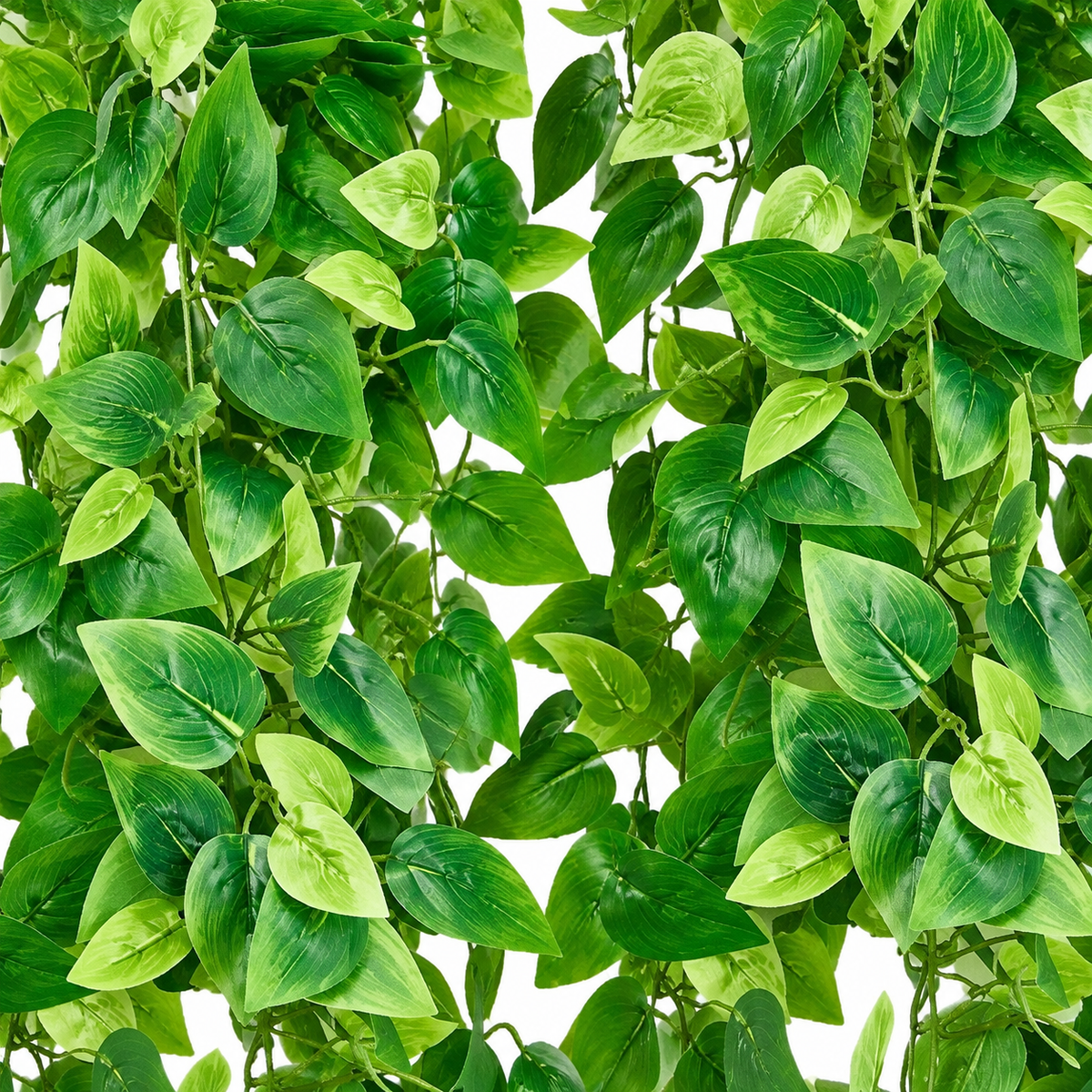 Two artificial trailing ivy bundles without pots - product detail and inclusion view 03
