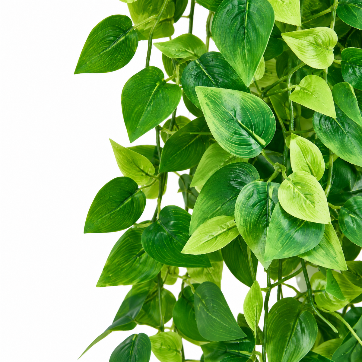Two artificial trailing ivy bundles without pots - product detail and inclusion view 08