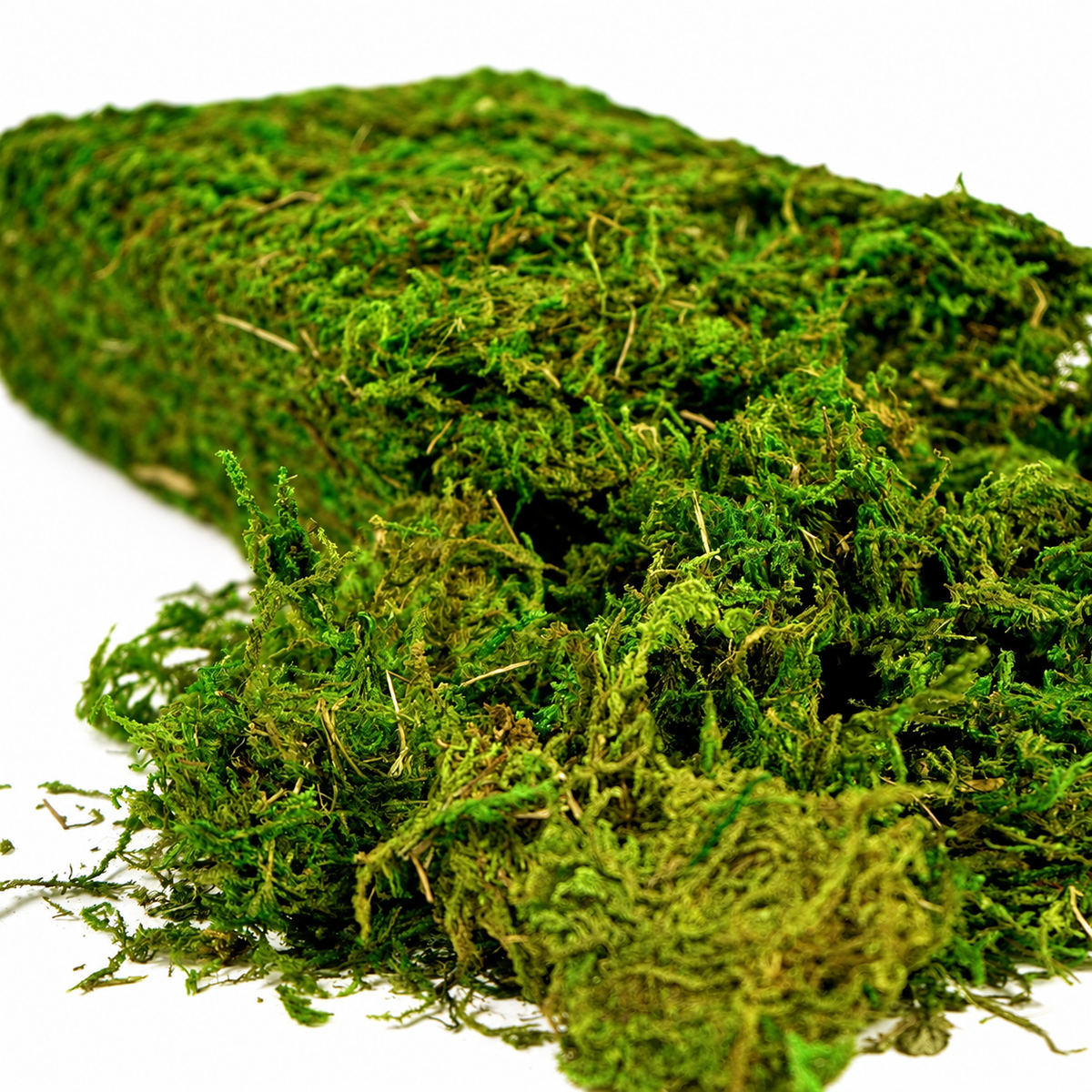 Fresh green artificial loose moss craft supply - main product view