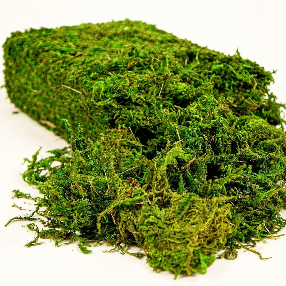 Fresh green artificial loose moss craft supply - product detail 02