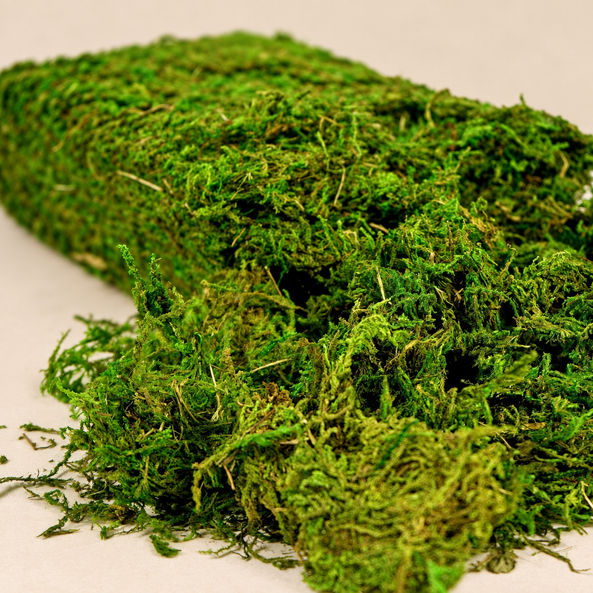 Fresh green artificial loose moss craft supply - product detail 04