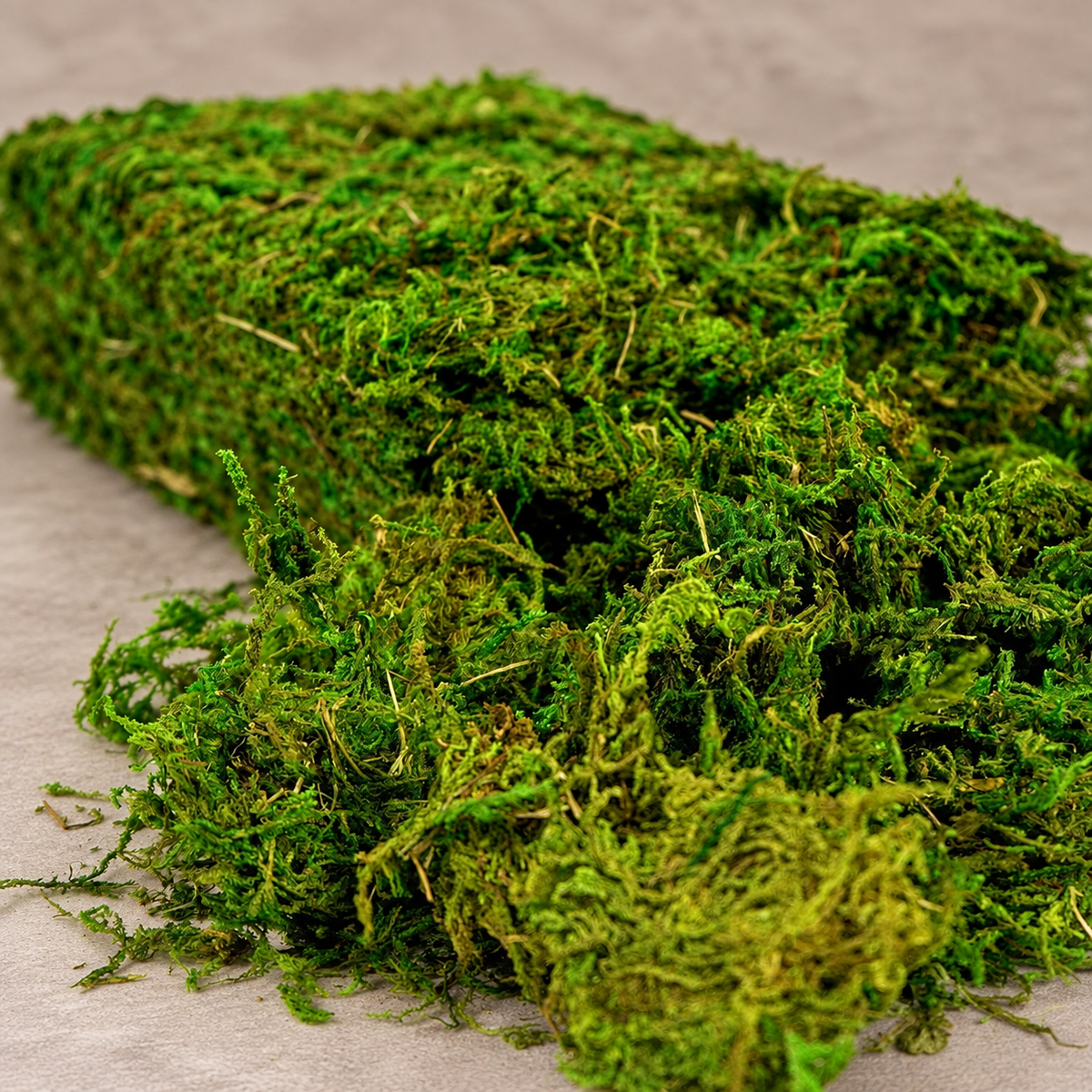 Fresh green artificial loose moss craft supply - product detail 06