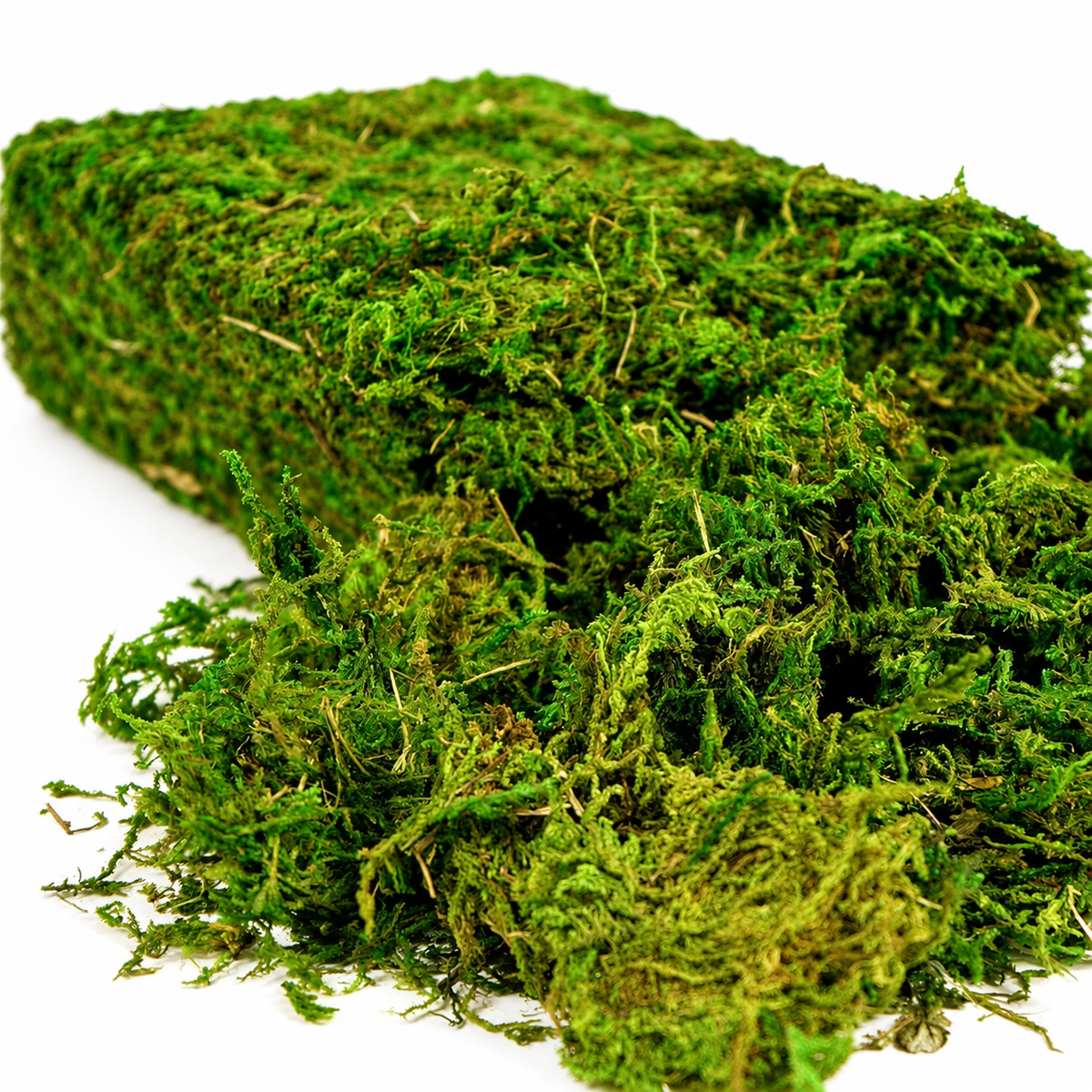 Fresh green artificial loose moss craft supply - product detail 10