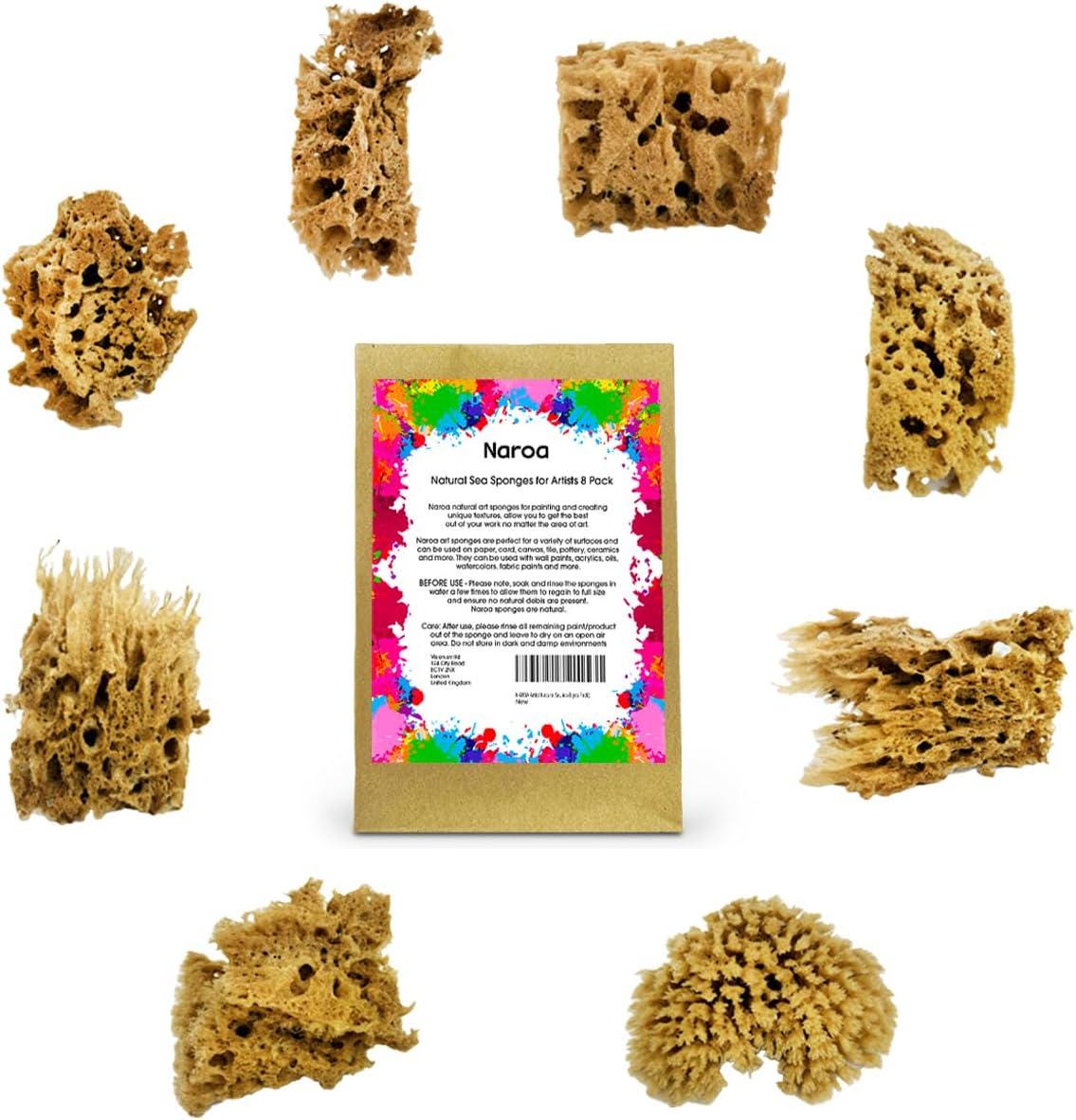 Natural Sea Sponges for Artists, 8 Pack, Painting, Pottery, Ceramics, Texturing
