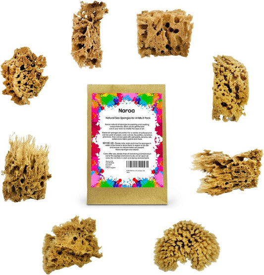 Natural Sea Sponges for Artists, 8 Pack, Painting, Pottery, Ceramics, Texturing