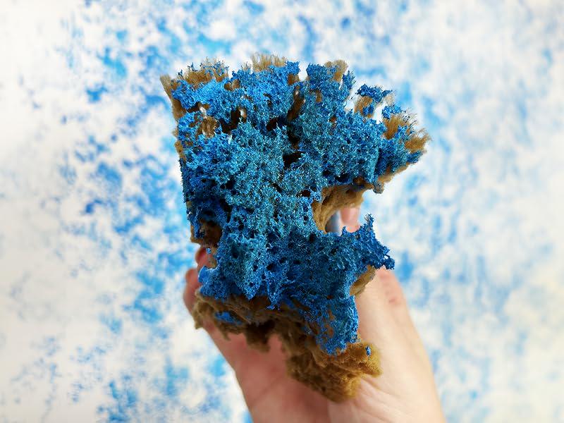 Natural Sea Sponges for Artists, 8 Pack, Painting, Pottery, Ceramics, Texturing