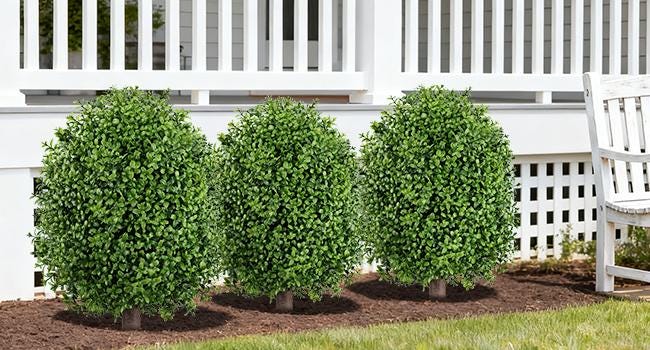 Set of 2 Artificial Boxwood Topiary Trees, 27 Inch UV Resistant Outdoor Bushes