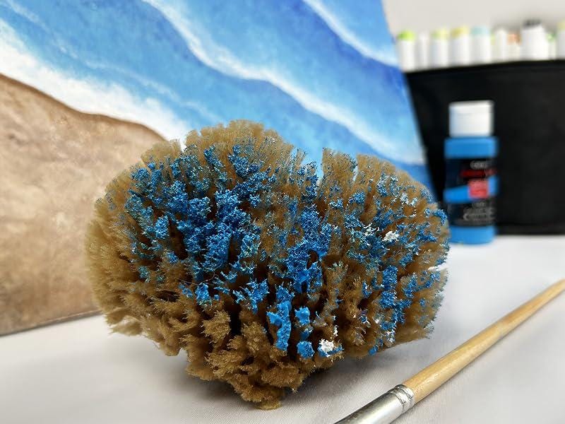 Natural Sea Sponges for Artists, 8 Pack, Painting, Pottery, Ceramics, Texturing