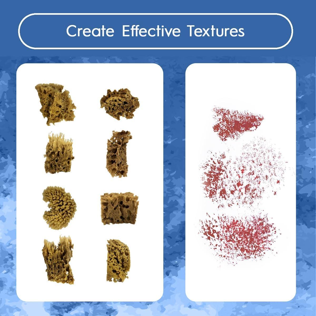 Natural Sea Sponges for Artists, 8 Pack, Painting, Pottery, Ceramics, Texturing